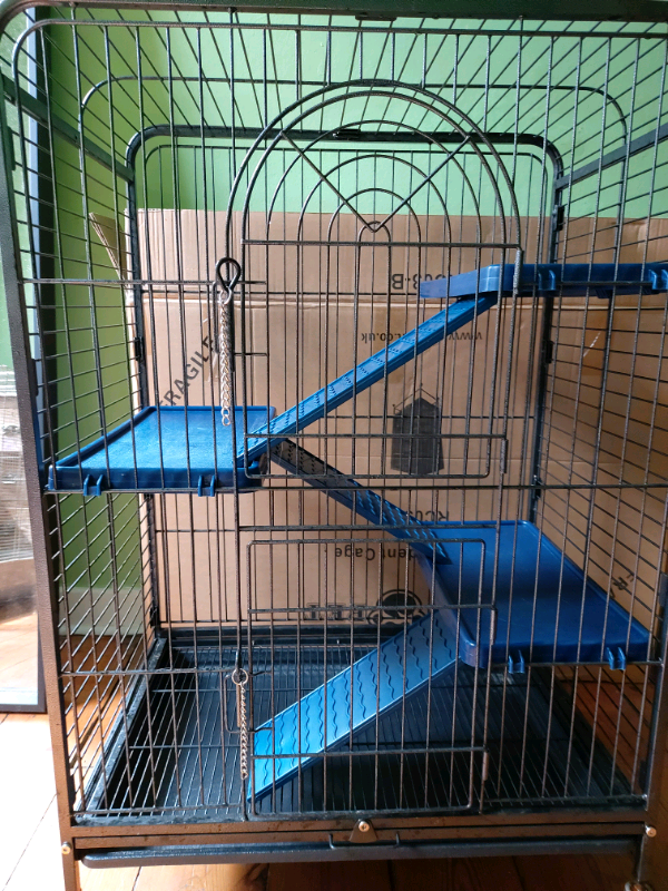 gumtree rat cage
